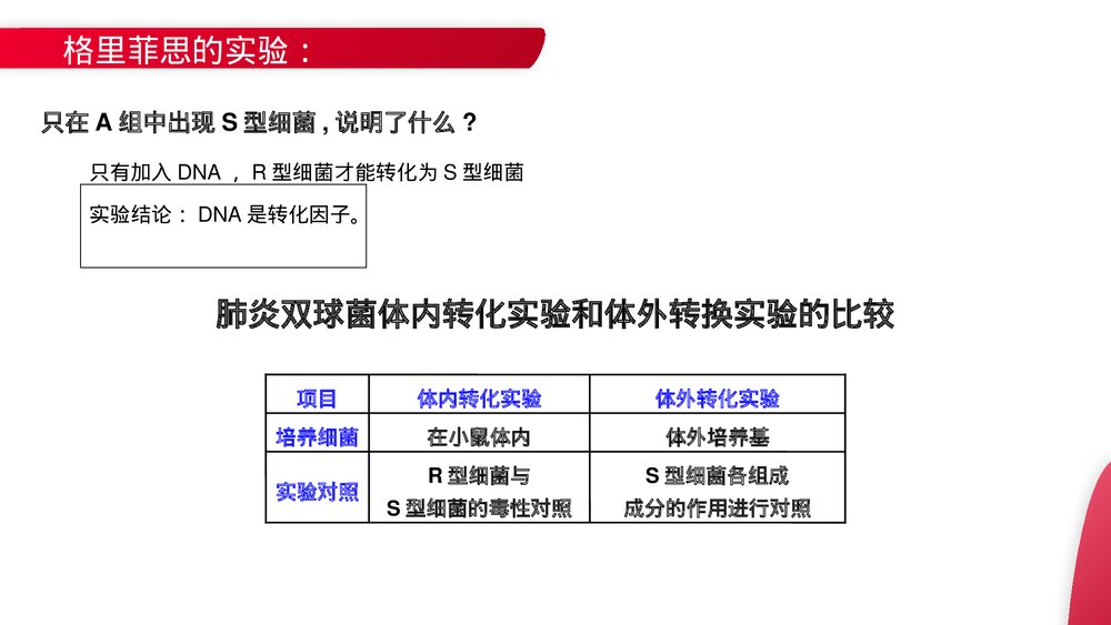 高一下册生物必修二《DNA是主要的遗传物质》PPT课件(第3.1课时)7