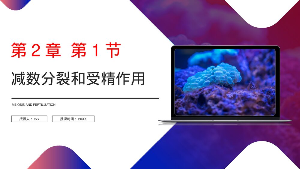 高一下册生物必修二《减数分裂和受精作用》PPT课件(第2.1.2课时)1