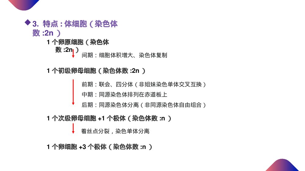 高一下册生物必修二《减数分裂和受精作用》PPT课件(第2.1.2课时)4
