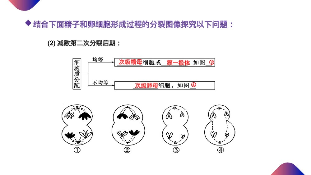 高一下册生物必修二《减数分裂和受精作用》PPT课件(第2.1.2课时)6