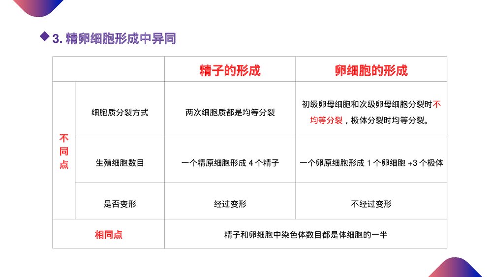 高一下册生物必修二《减数分裂和受精作用》PPT课件(第2.1.2课时)7