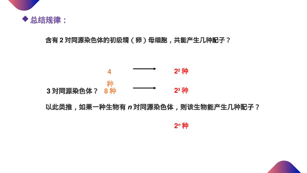 高一下册生物必修二《减数分裂和受精作用》PPT课件(第2.1.3课时)3