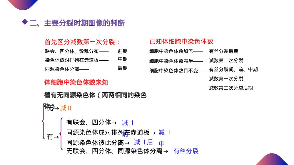 高一下册生物必修二《减数分裂和受精作用》PPT课件(第2.1.3课时)5