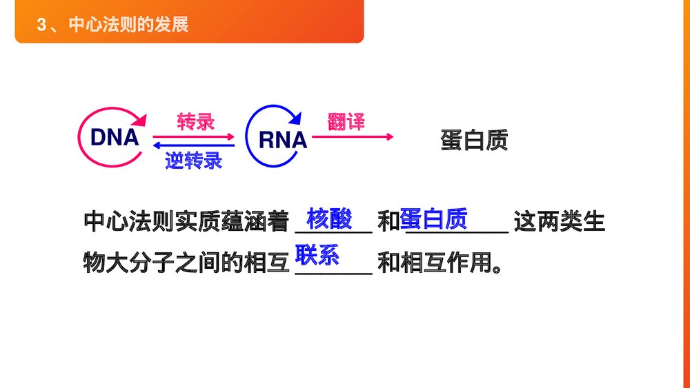 高一下册生物必修二《基因对性状的控制》PPT课件(第4.2课时)4
