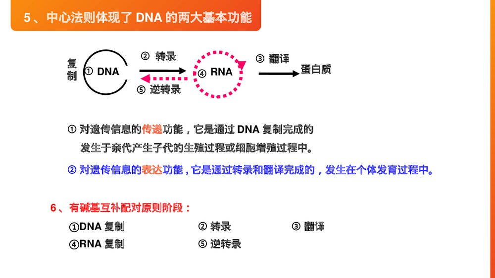 高一下册生物必修二《基因对性状的控制》PPT课件(第4.2课时)6