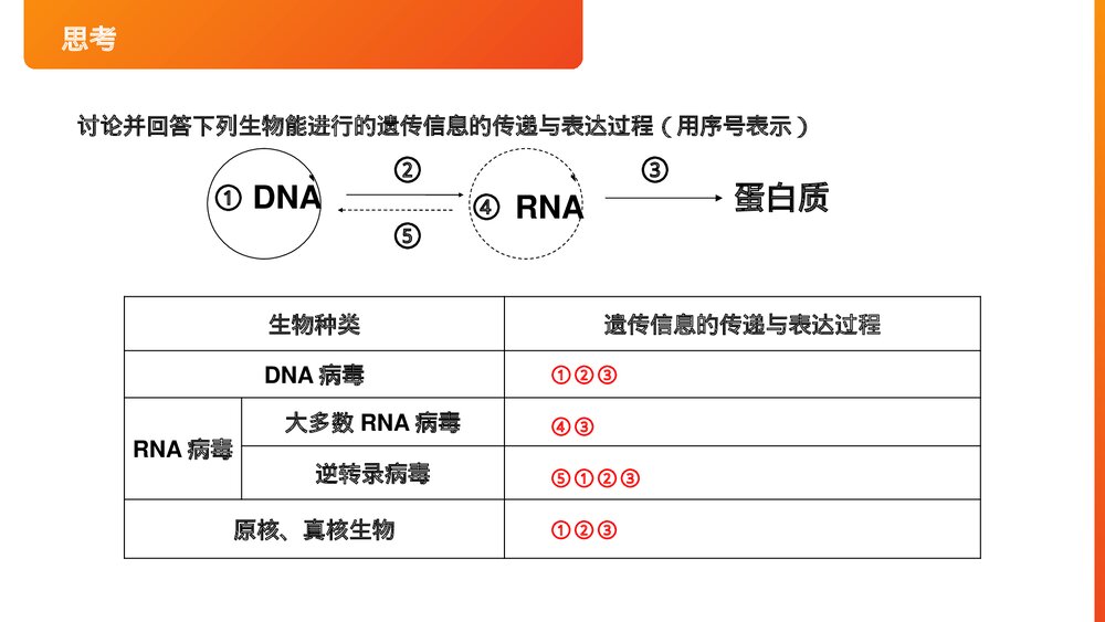 高一下册生物必修二《基因对性状的控制》PPT课件(第4.2课时)8