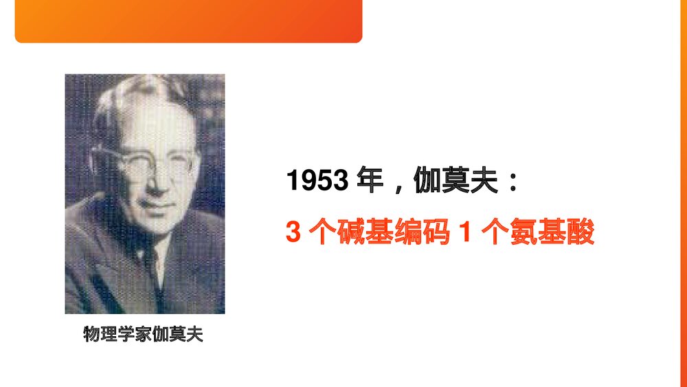 高一下册生物必修二《遗传密码的破译》PPT课件(第4.3课时)3