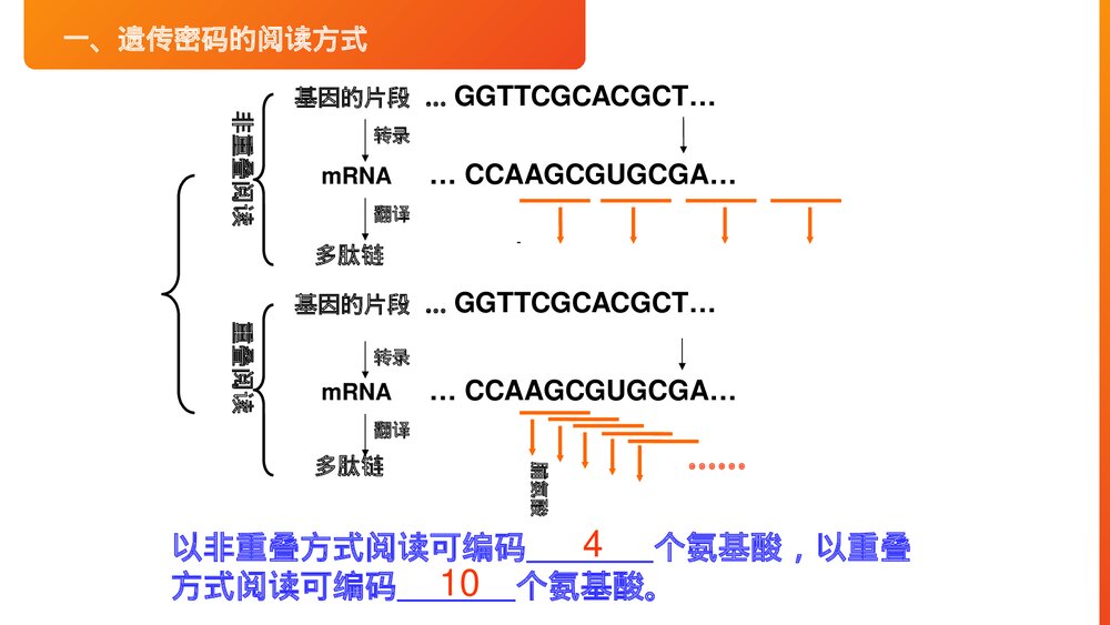 高一下册生物必修二《遗传密码的破译》PPT课件(第4.3课时)4