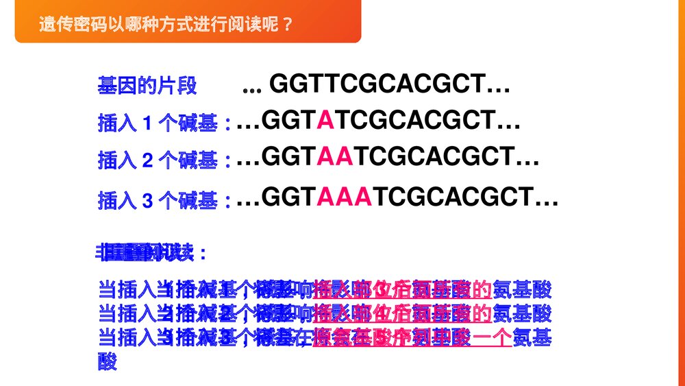 高一下册生物必修二《遗传密码的破译》PPT课件(第4.3课时)6