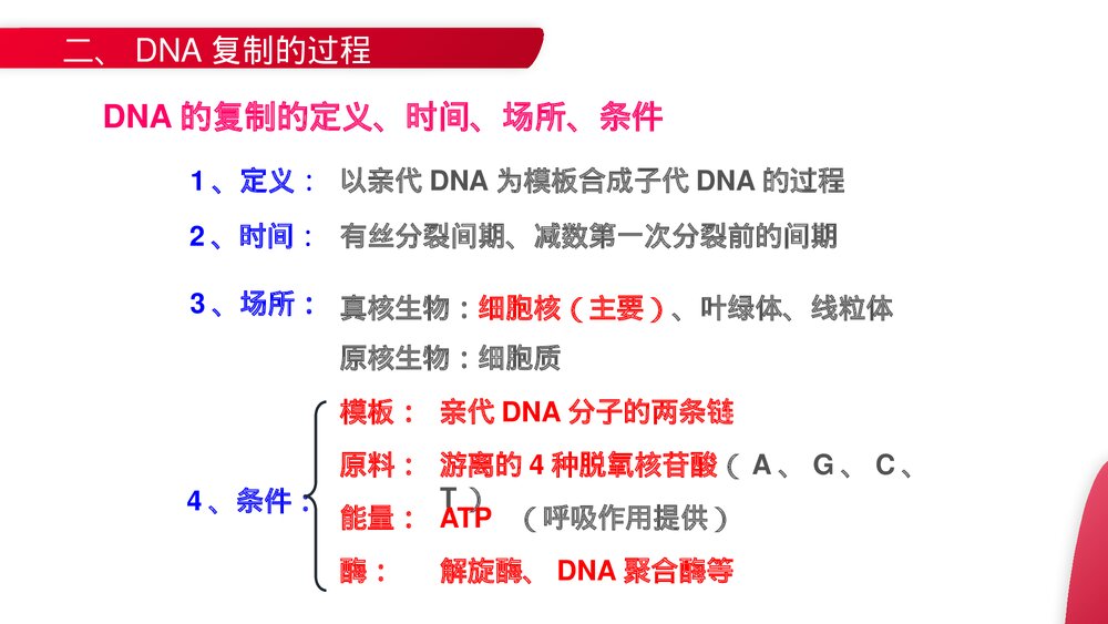 高一下册生物必修二《DNA的复制》PPT课件(第3.3课时)8