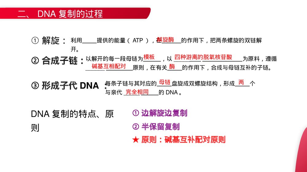 高一下册生物必修二《DNA的复制》PPT课件(第3.3课时)9