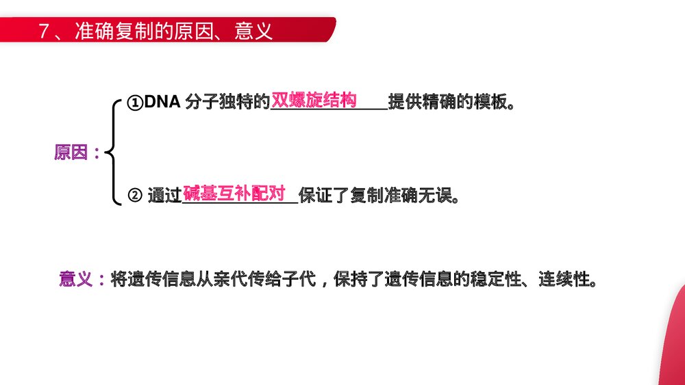 高一下册生物必修二《DNA的复制》PPT课件(第3.3课时)10