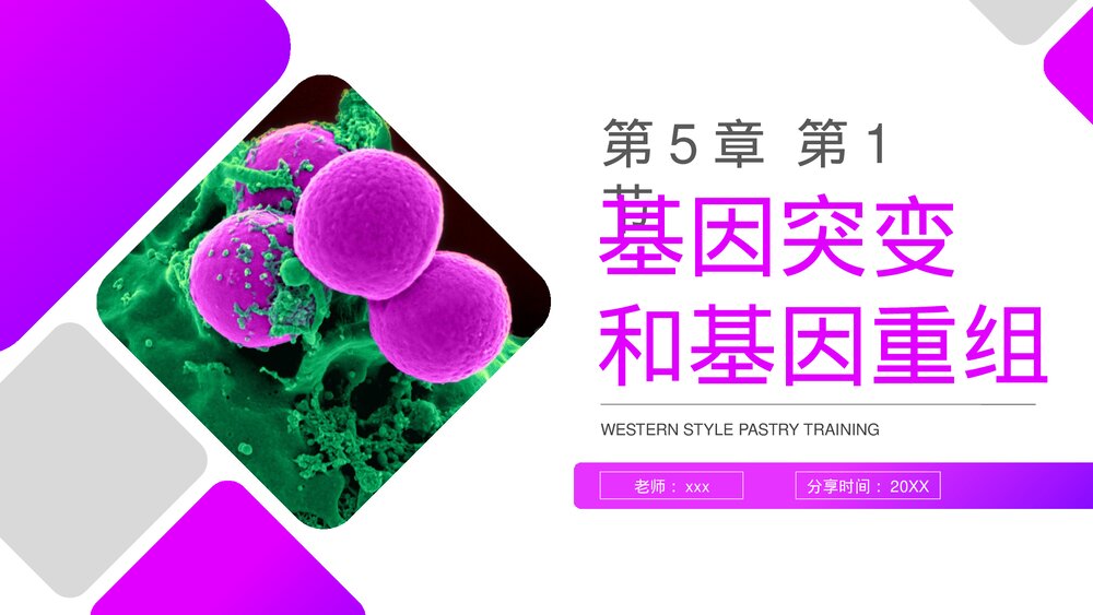 高一下册生物必修二《基因突变和基因重组》PPT课件(第5.1课时)1