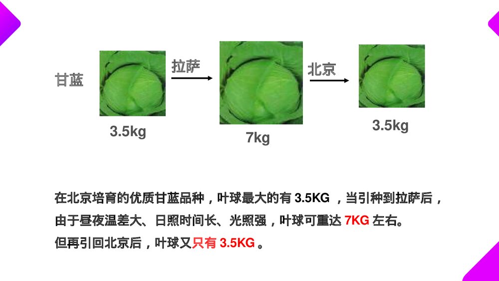 高一下册生物必修二《基因突变和基因重组》PPT课件(第5.1课时)3
