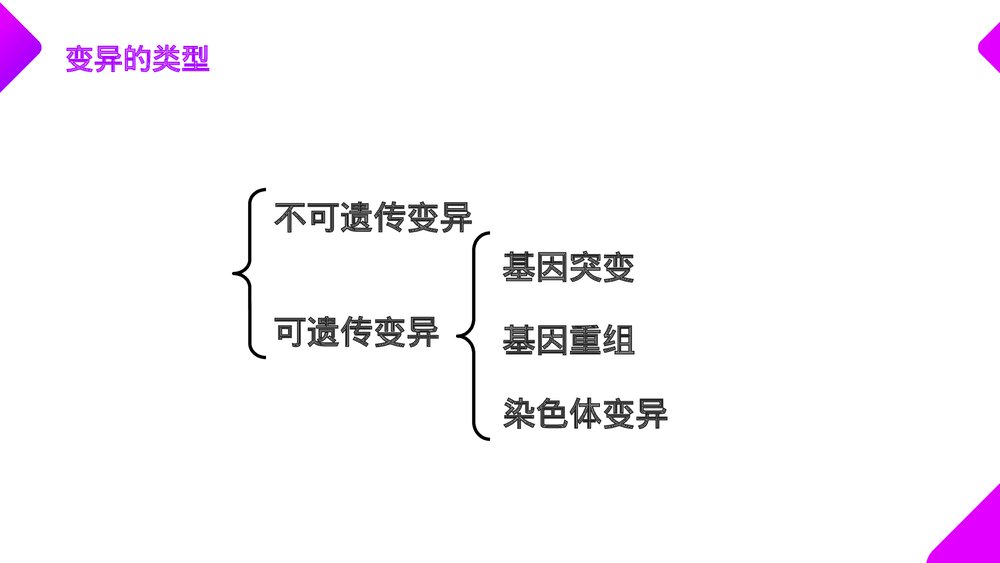 高一下册生物必修二《基因突变和基因重组》PPT课件(第5.1课时)4