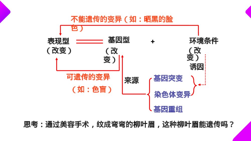 高一下册生物必修二《基因突变和基因重组》PPT课件(第5.1课时)5
