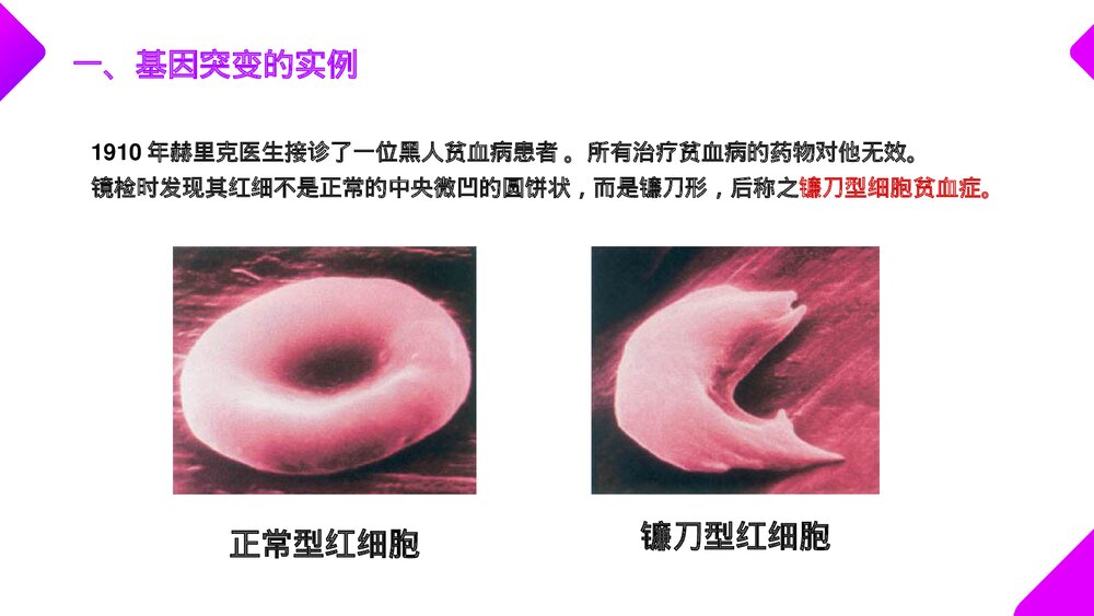 高一下册生物必修二《基因突变和基因重组》PPT课件(第5.1课时)6
