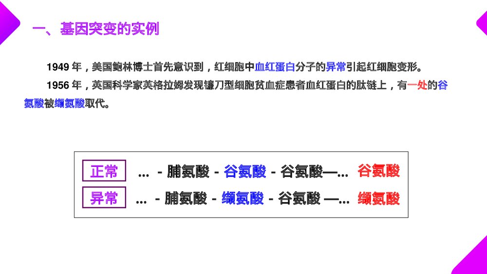 高一下册生物必修二《基因突变和基因重组》PPT课件(第5.1课时)7
