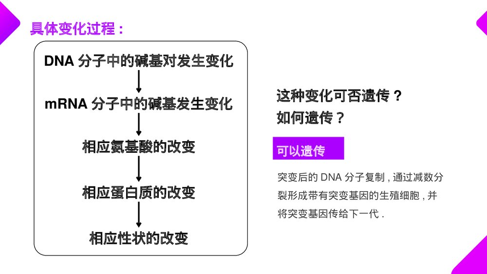 高一下册生物必修二《基因突变和基因重组》PPT课件(第5.1课时)8