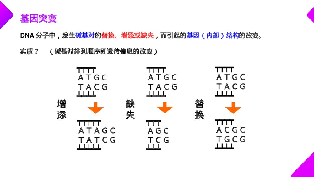 高一下册生物必修二《基因突变和基因重组》PPT课件(第5.1课时)10