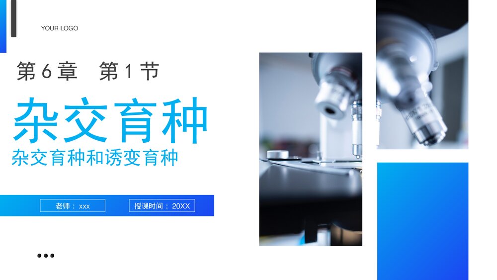 高一下册生物必修二《杂交育种和诱变育种》PPT课件(第6.1课时)1