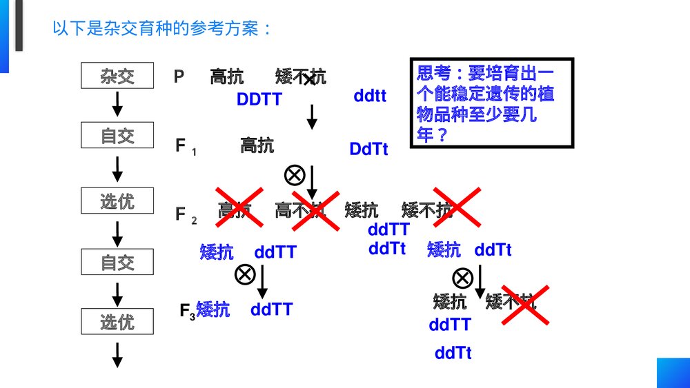 高一下册生物必修二《杂交育种和诱变育种》PPT课件(第6.1课时)4