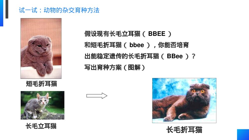 高一下册生物必修二《杂交育种和诱变育种》PPT课件(第6.1课时)6