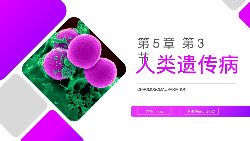 高一下册生物必修二《人类遗传病》PPT课件(第5.3课时)1