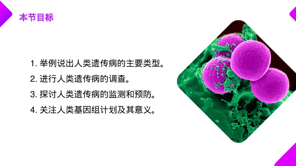 高一下册生物必修二《人类遗传病》PPT课件(第5.3课时)2