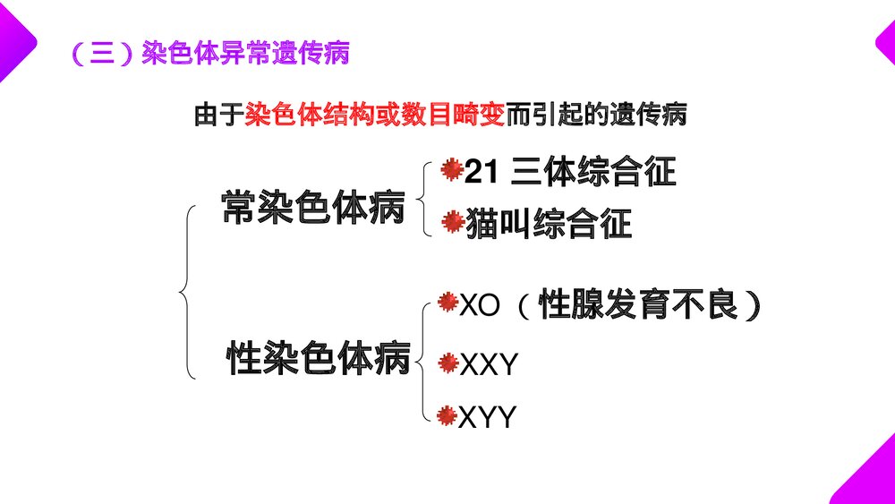 高一下册生物必修二《人类遗传病》PPT课件(第5.3课时)7