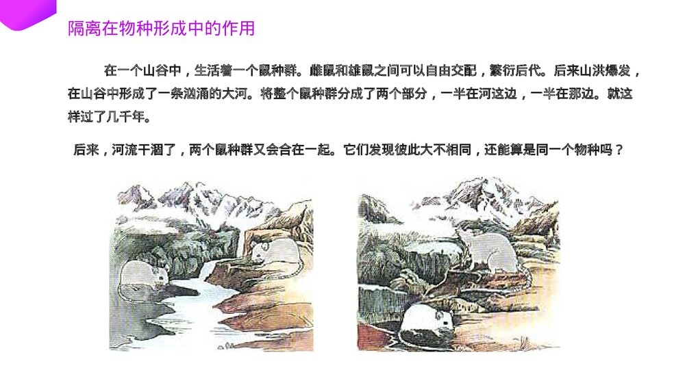 高一下册生物必修二《种群基因频率的改变与生物进化》PPT课件(第7.2.2课时)6