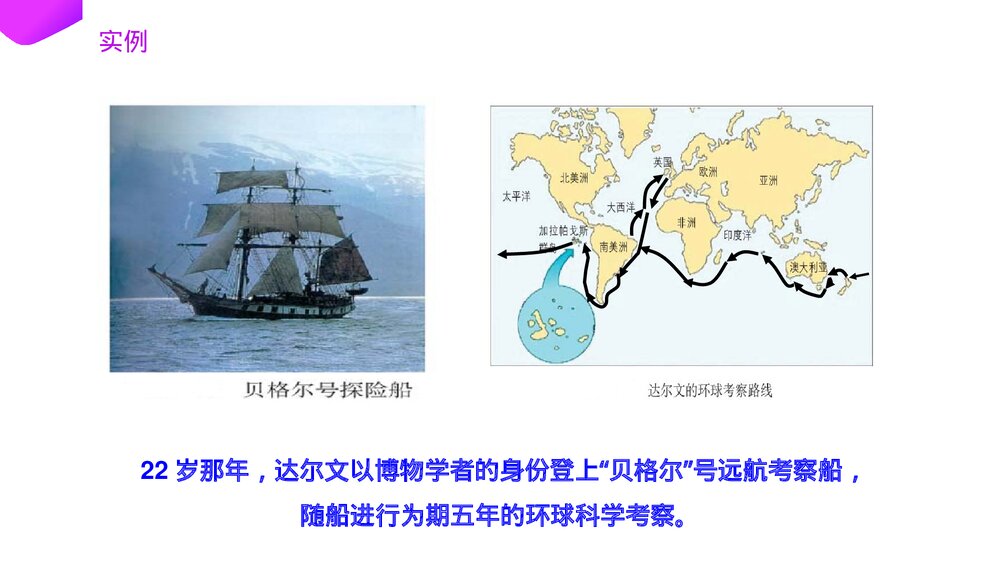 高一下册生物必修二《种群基因频率的改变与生物进化》PPT课件(第7.2.2课时)7