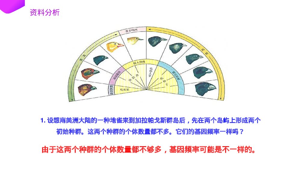 高一下册生物必修二《种群基因频率的改变与生物进化》PPT课件(第7.2.2课时)9