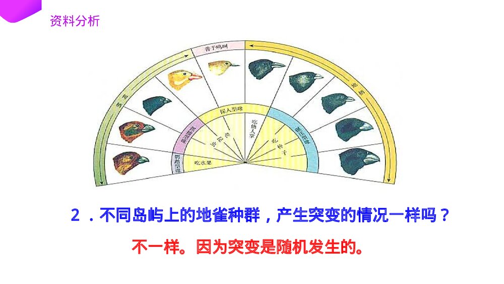 高一下册生物必修二《种群基因频率的改变与生物进化》PPT课件(第7.2.2课时)10