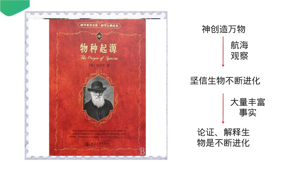 高一下册生物必修二《生物进化理论的由来》PPT课件(第7.1课时)8