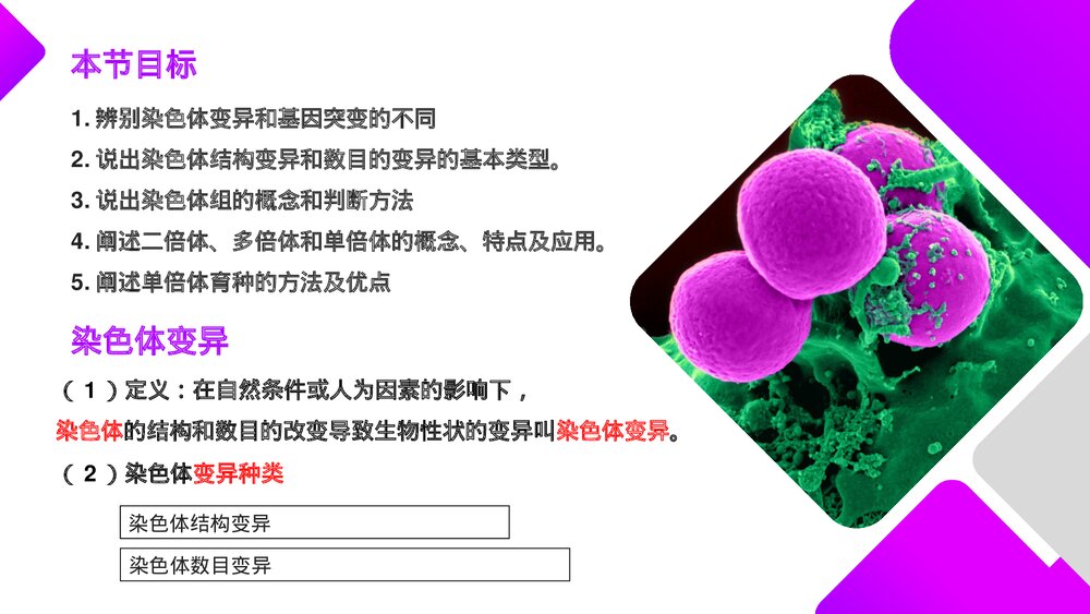 高一下册生物必修二《染色体变异》PPT课件(第5.2课时)3