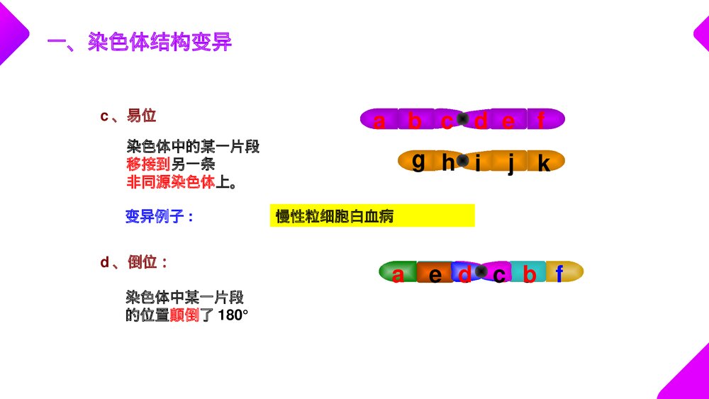 高一下册生物必修二《染色体变异》PPT课件(第5.2课时)6
