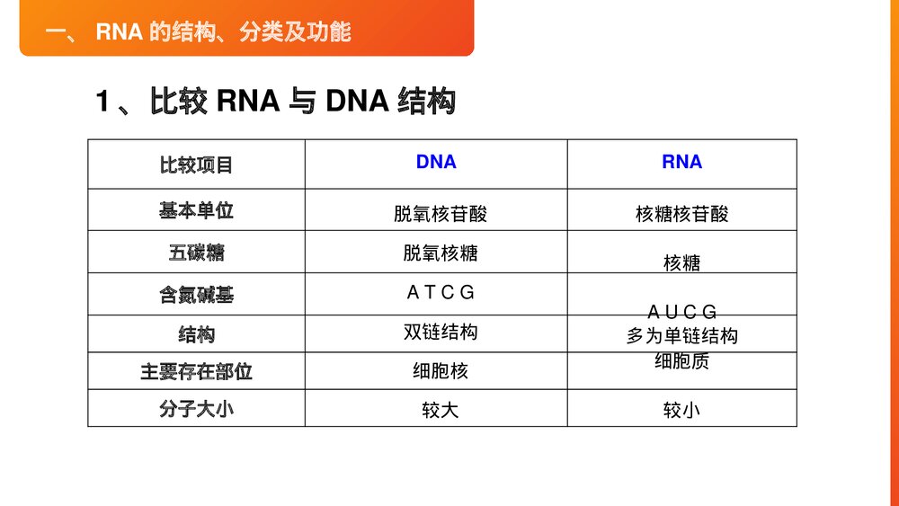 高一下册生物必修二《基因指导蛋白质的合成》PPT课件(第4.1课时)4