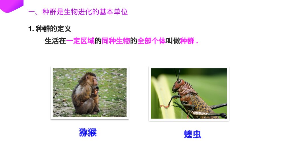 高一下册生物必修二《种群基因频率的改变与生物进化》PPT课件(第7.2.1课时)5