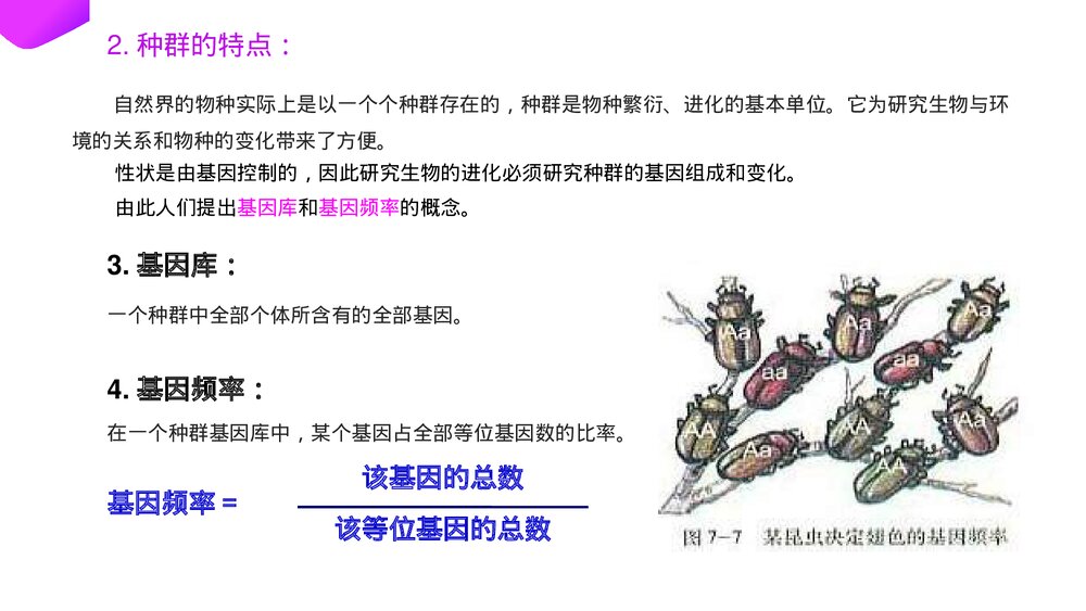 高一下册生物必修二《种群基因频率的改变与生物进化》PPT课件(第7.2.1课时)7