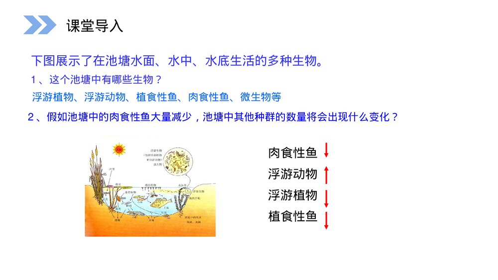 人教版高二生物必修三《群落的结构教学PPT课件4