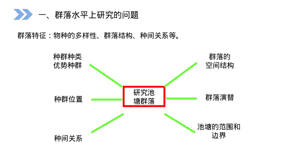 人教版高二生物必修三《群落的结构教学PPT课件5