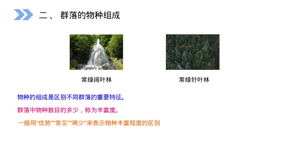 人教版高二生物必修三《群落的结构教学PPT课件6