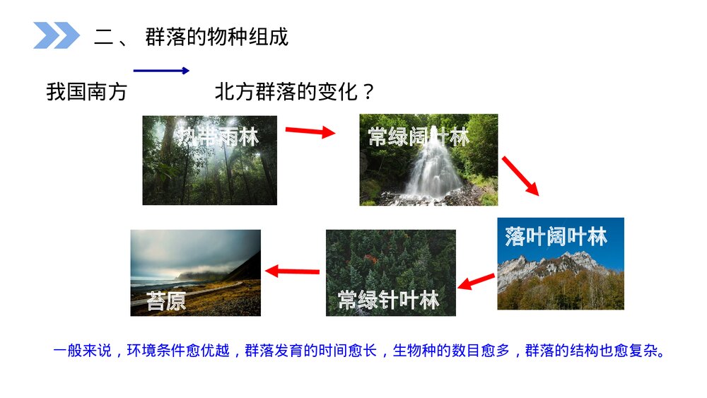人教版高二生物必修三《群落的结构教学PPT课件7