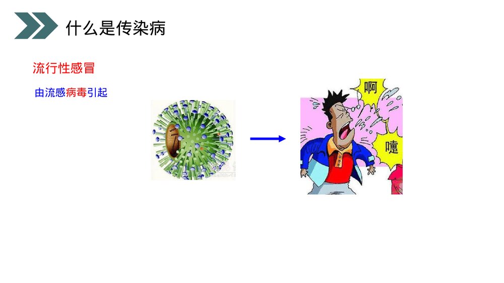 人教版初中生物八年级下册《传染病及其预防》PPT课件7