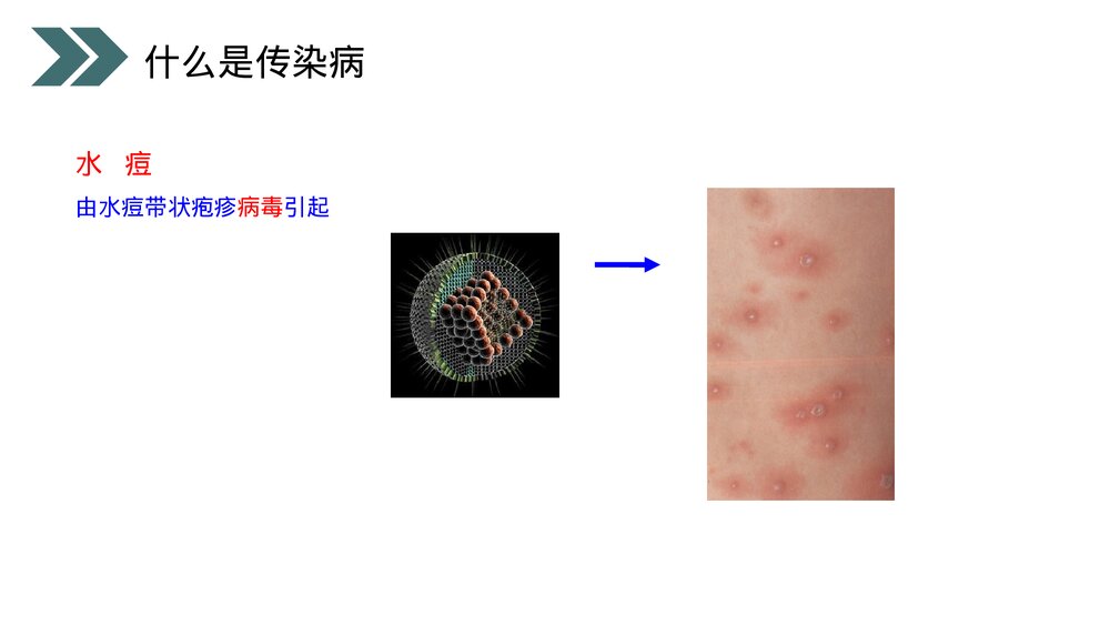 人教版初中生物八年级下册《传染病及其预防》PPT课件8