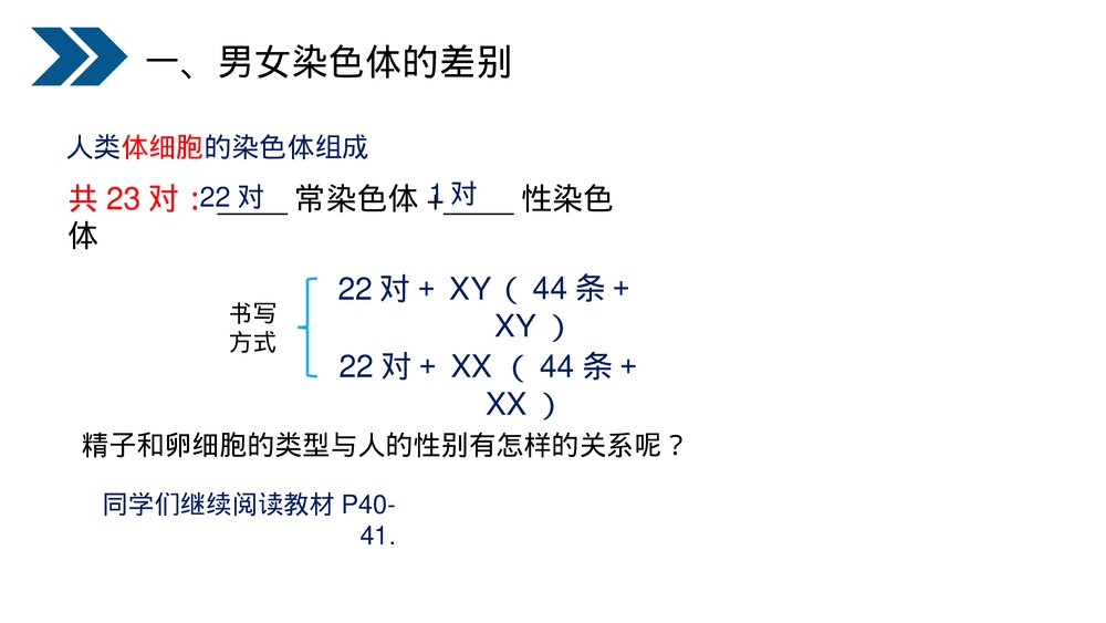 人教版初中生物八年级下册《生物的遗传和变异(人的性别遗传)》PPT课件8
