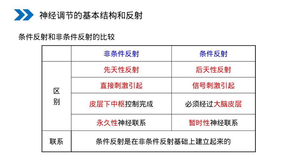 人教版高二生物必修三《通过神经系统的调节》教学PPT课件8