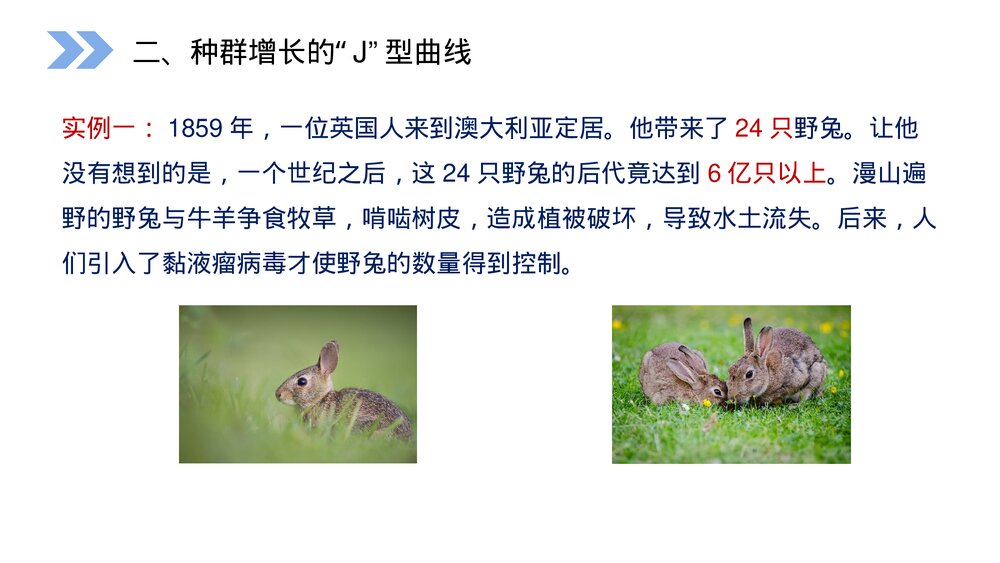 人教版高二生物必修三《种群数量的变化》PPT课件7