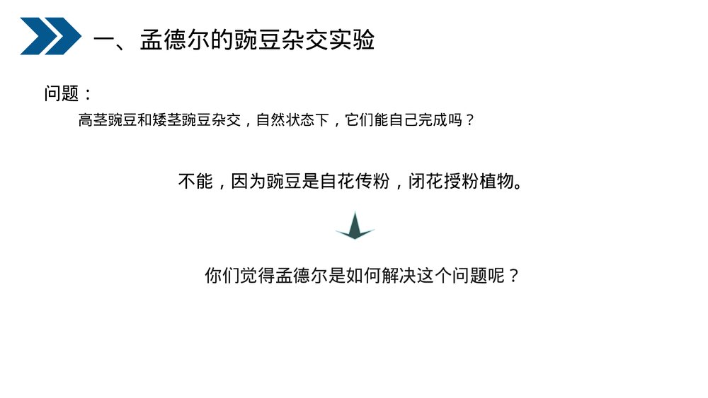 人教版初中生物八年级下册《生物的遗传和变异(基因的显性和隐性)》PPT课件7